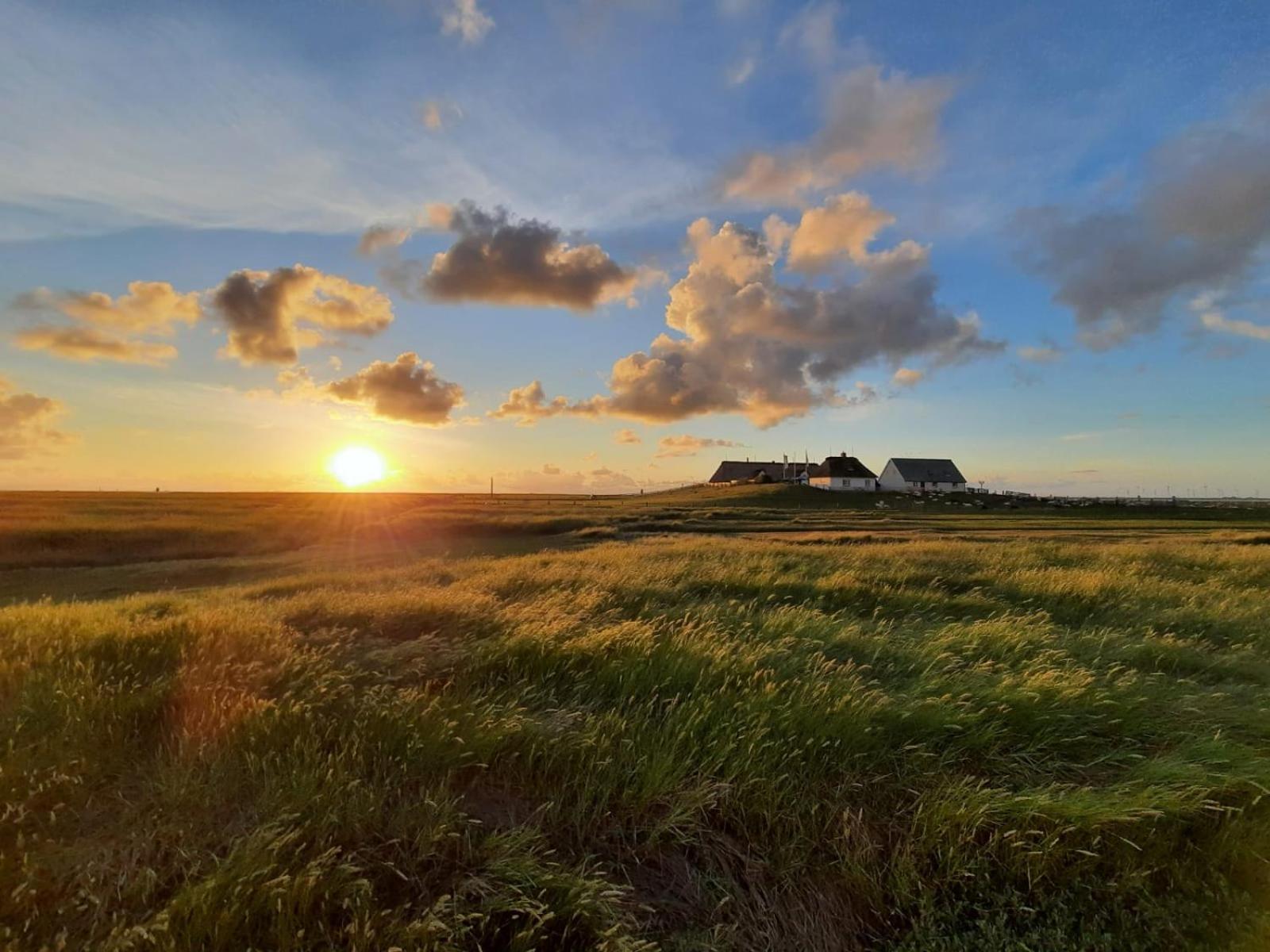 Nordsee Bauernhof Familie Wulff Fewo "Suedfall" Reussenkoge Экстерьер фото