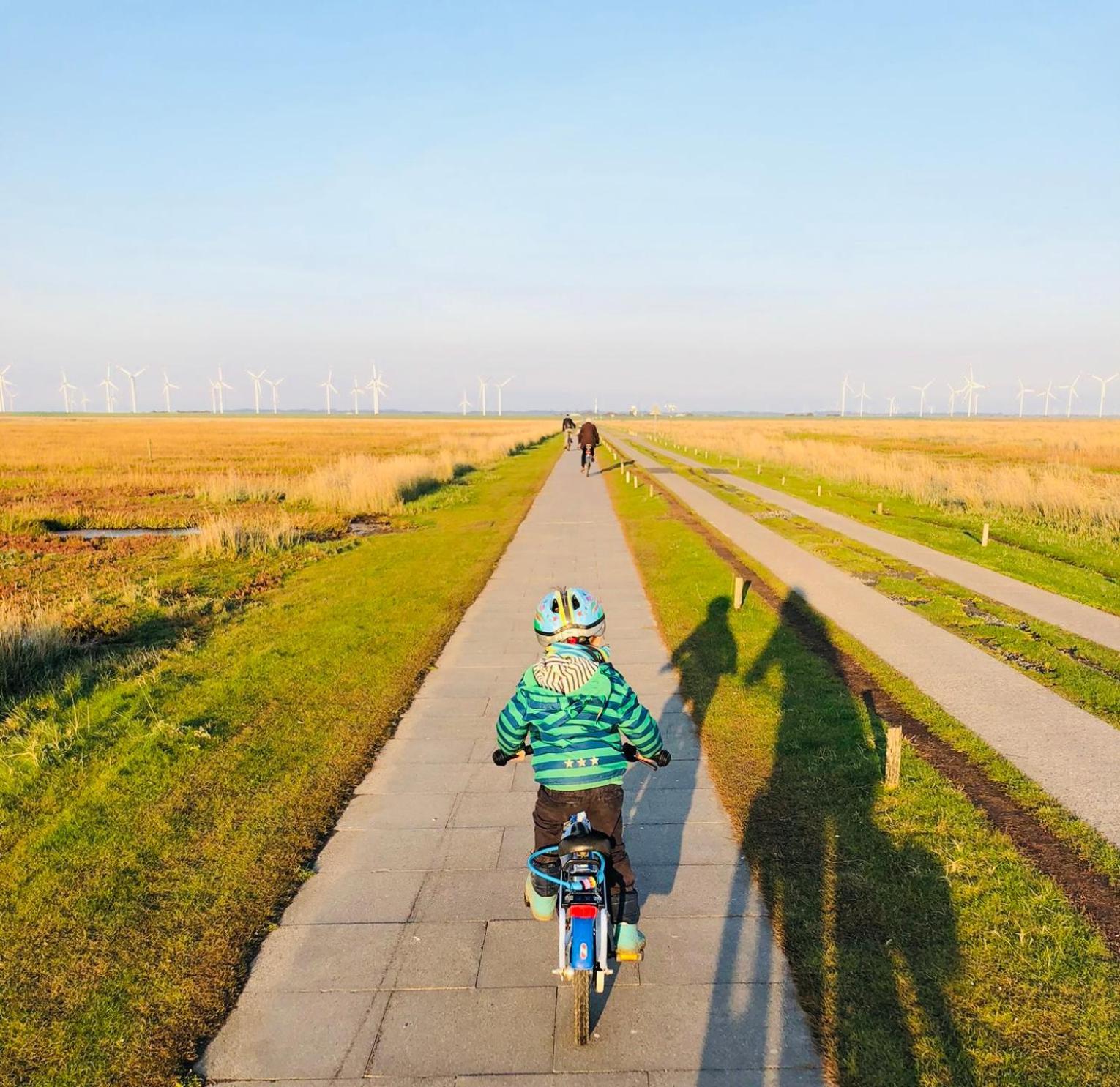 Nordsee Bauernhof Familie Wulff Fewo "Suedfall" Reussenkoge Экстерьер фото