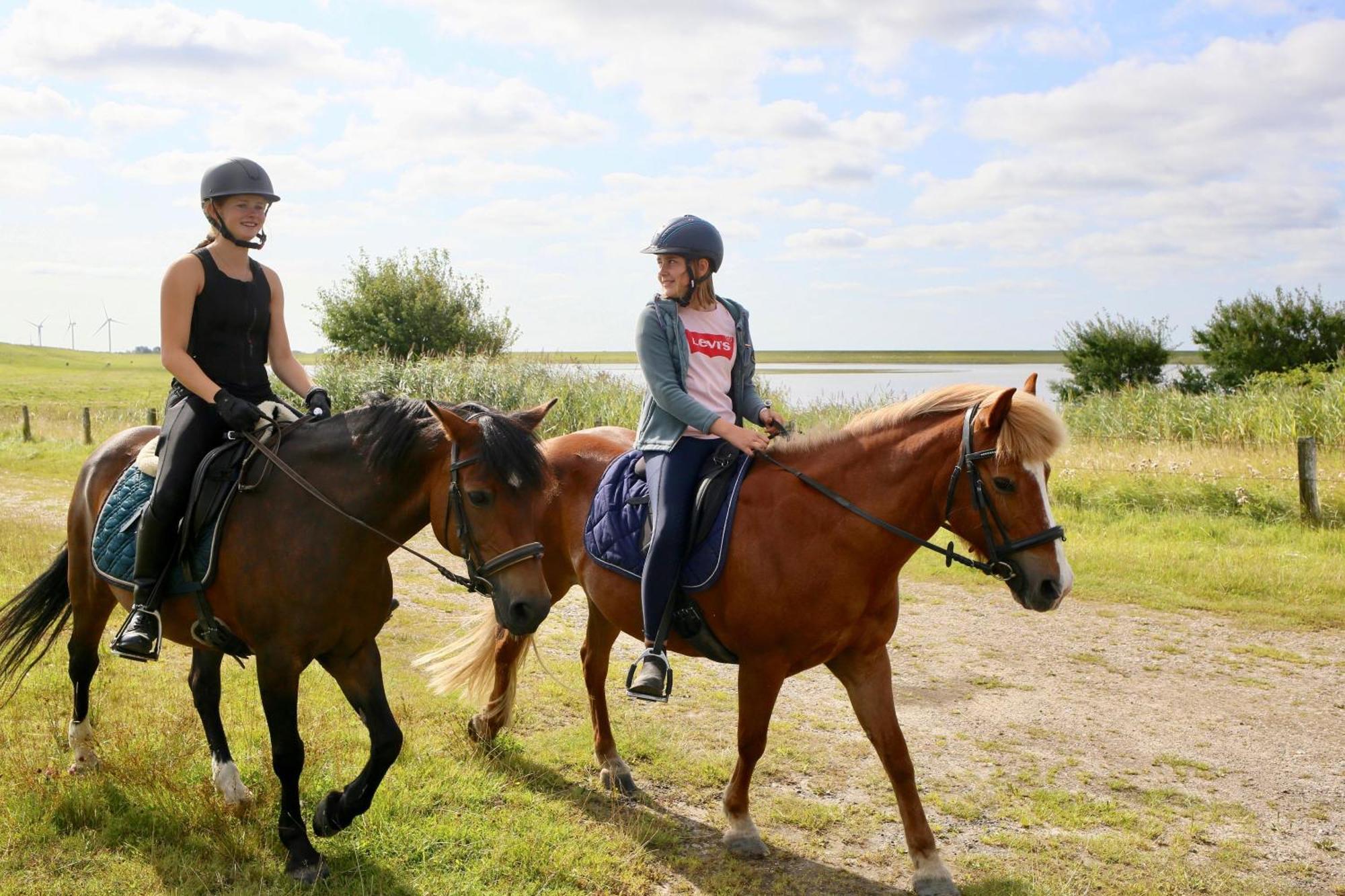 Nordsee Bauernhof Familie Wulff Fewo "Suedfall" Reussenkoge Экстерьер фото
